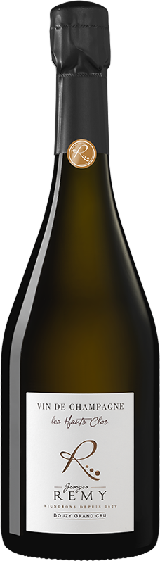 Les Hauts Clos - Georges Remy